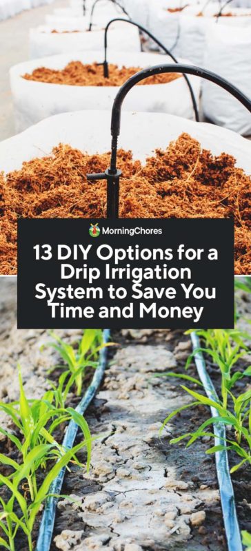 13 DIY Options for a Drip Irrigation System to Save You Time and Money PIN
