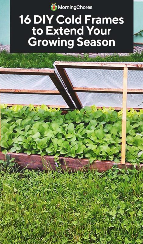 16 DIY Cold Frames to Extend Your Growing Season PIN
