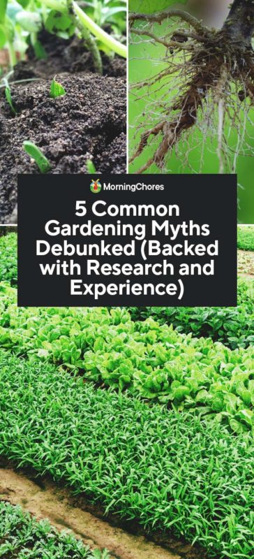 5 Common Gardening Myths Debunked Backed with Research and Experience PIN