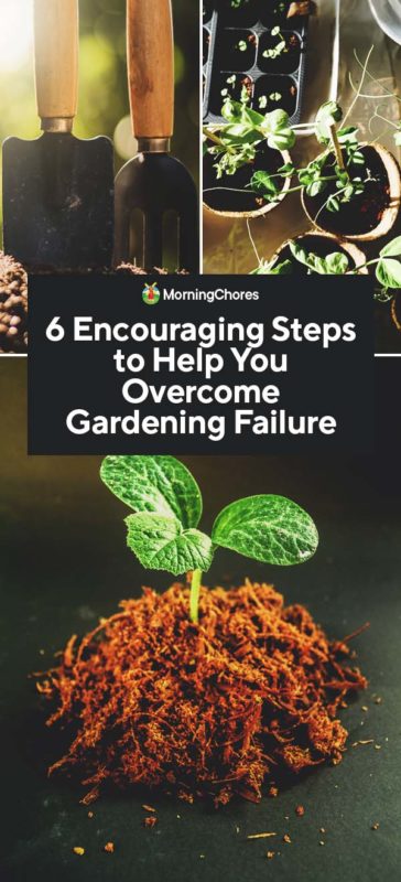6 Encouraging Steps to Help You Overcome Gardening Failure PIN 1