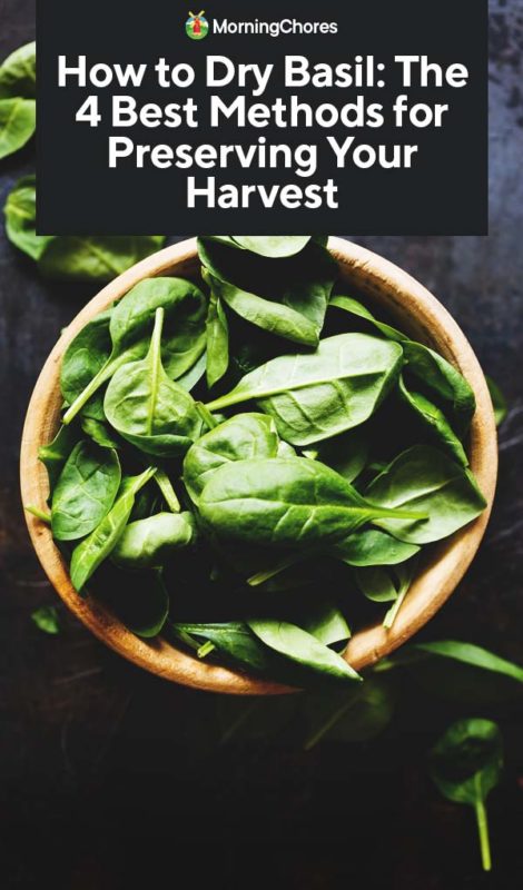 How to Dry Basil The 4 Best Methods for Preserving Your Harvest PIN