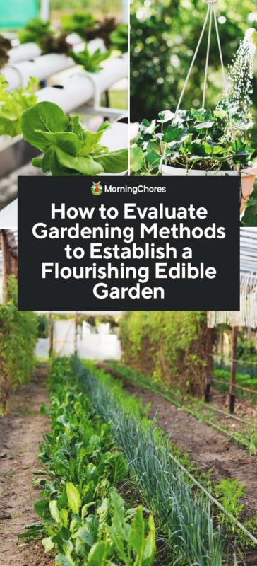 How to Evaluate Gardening Methods to Establish a Flourishing Edible Garden PIN