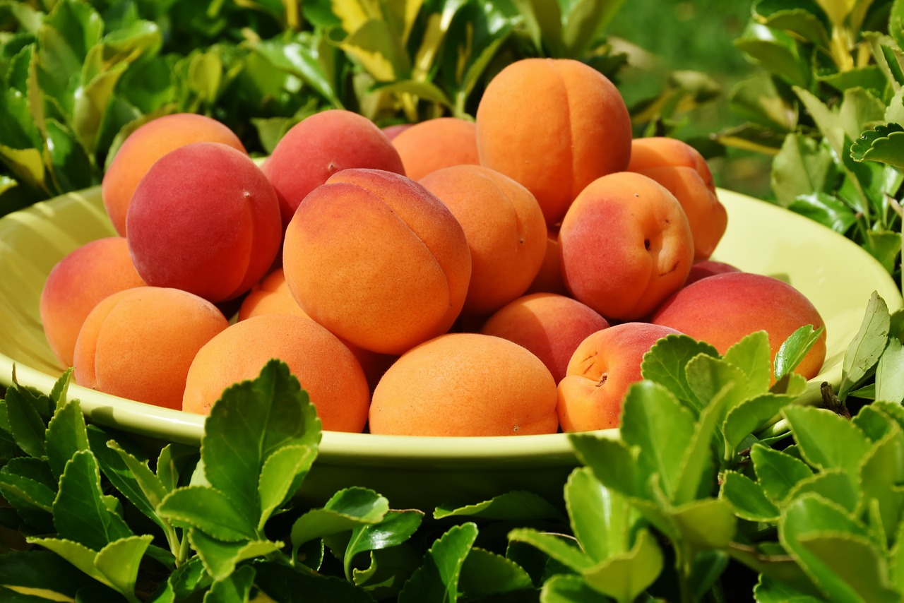 peach harvest 1557511552