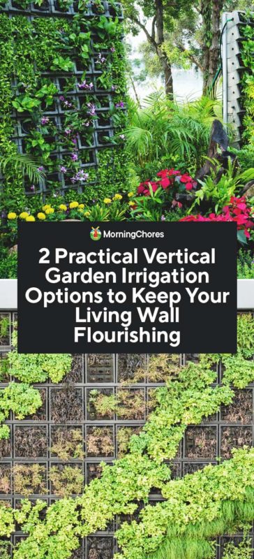 2 Practical Vertical Garden Irrigation Options to Keep Your Living Wall Flourishing PIN