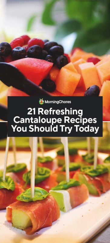 This image has an empty alt attribute; its file name is 21-Refreshing-Cantaloupe-Recipes-You-Should-Try-Today-PIN-364x800.jpg