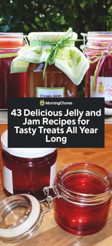43 Delicious Jelly and Jam Recipes for Tasty Treats All Year Long