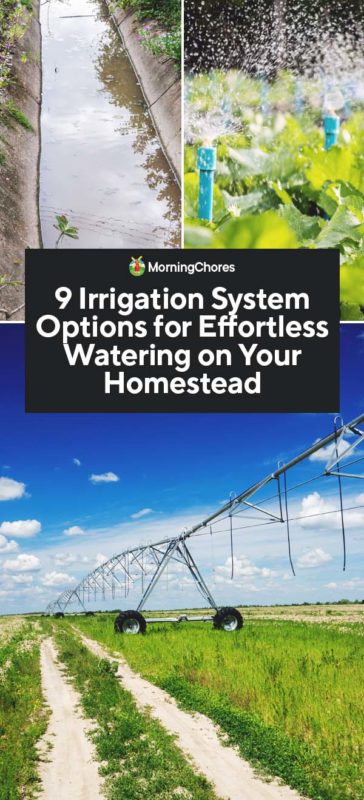 9 Irrigation System Options for Effortless Watering on Your Homestead PIN