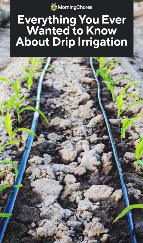 Everything You Ever Wanted to Know About Drip Irrigation PIN 1