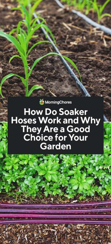 How Do Soaker Hoses Work and Why They Are a Good Choice for Your Garden PIN