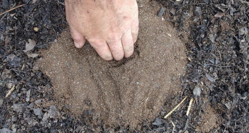 Add potting soil before planting.