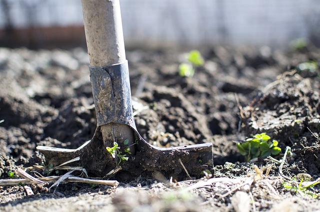 6 Types of Soil and Which Plants Grow Best on Them