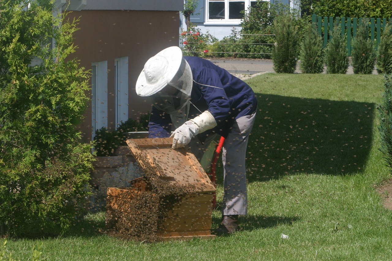Transporting a hive
