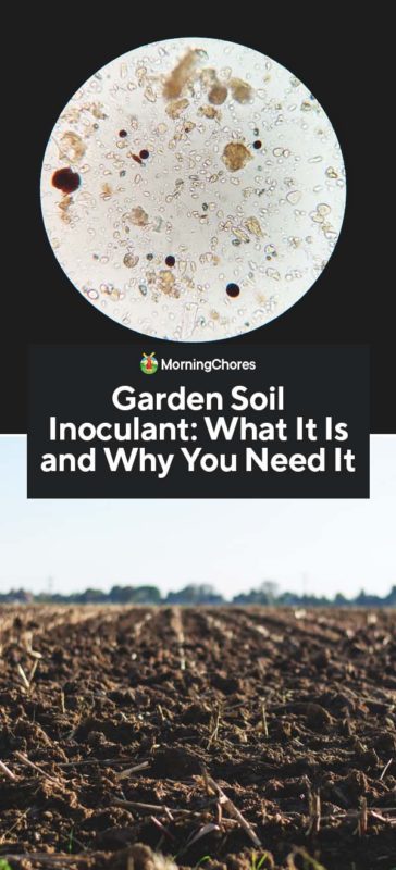 Garden Soil Inoculant What It Is and Why You Need It PIN