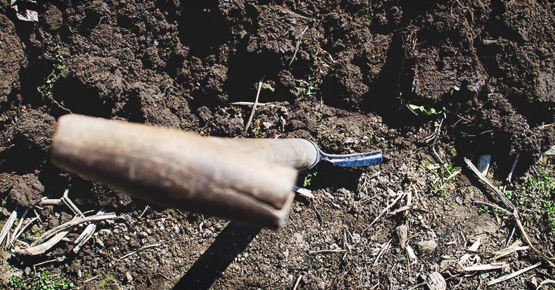How To Make Soil Acidic No Matter What Your Soil Type