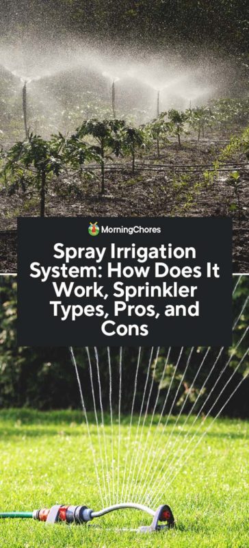 Spray Irrigation System How Does It Work Sprinkler Types Pros and Cons PIN
