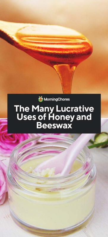 This image has an empty alt attribute; its file name is The-Many-Lucrative-Uses-of-Honey-and-Beeswax-FI-364x800.jpg