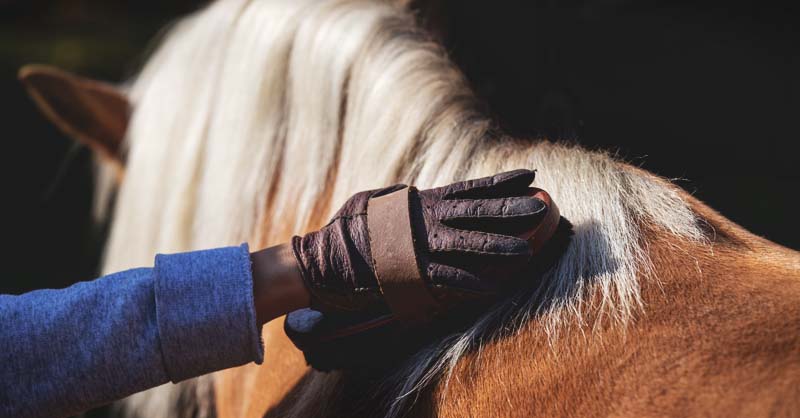 USG Horse Pony Grooming Brushes Fantastic Quality 