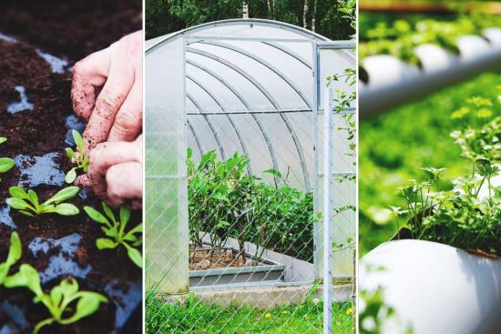 10 Tips to Help You Maximize Your Greenhouse Space