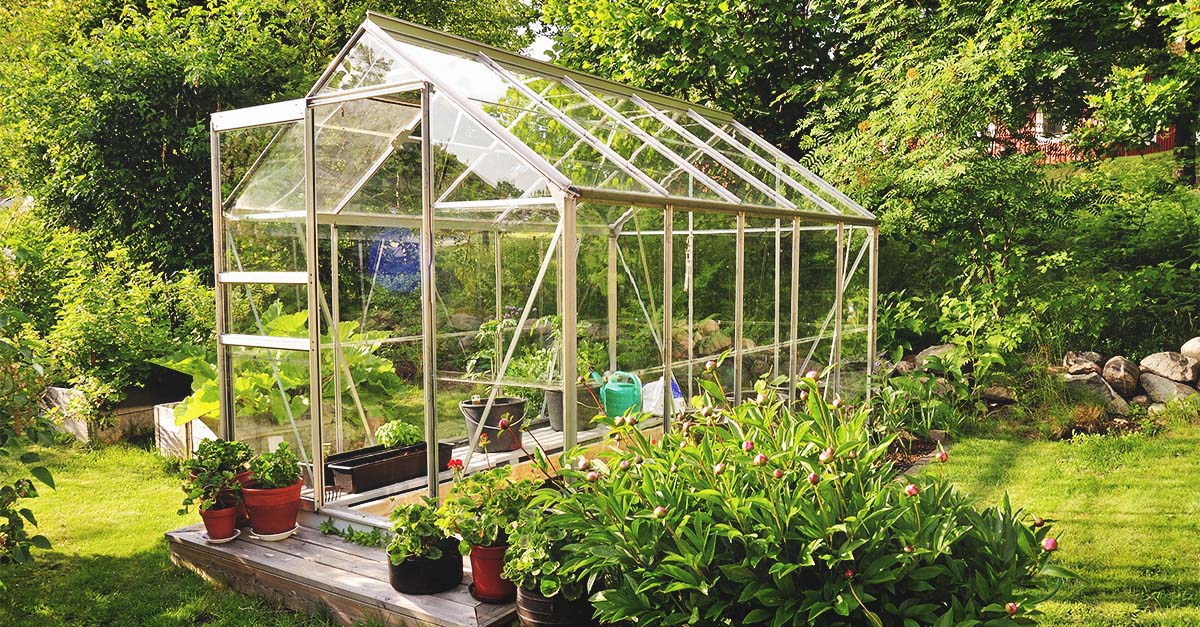 Reinventing The Greenhouse Low Tech