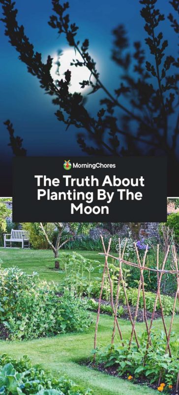 When to plant garden according to moon