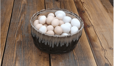 Duck-and-Chicken-Eggs