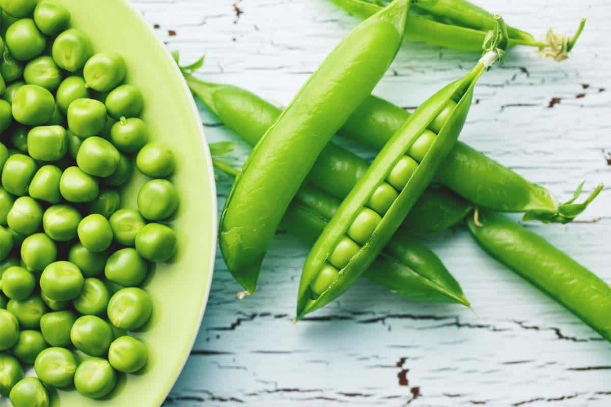 Image of Beans and peas vegetables