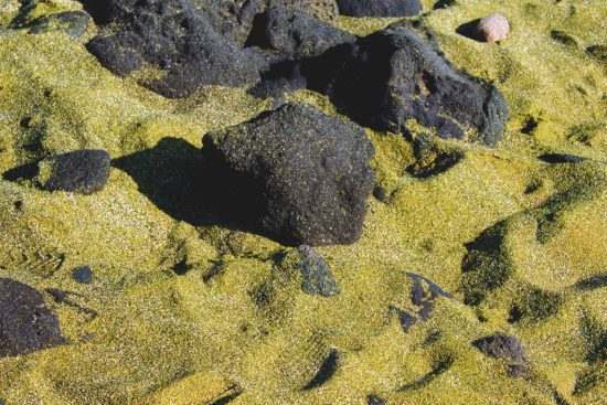 What Is Greensand and How Do You Use It In Your Garden?