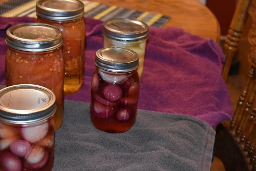 items to can in spring includes pickled onions