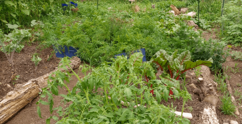 plan thoroughly for long-term garden care