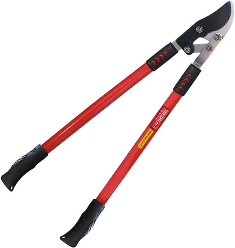 Tabor Tools GG11A 30-inch Bypass Lopper