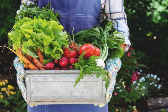20 Self-Sufficiency Hacks You Can Implement Right Now