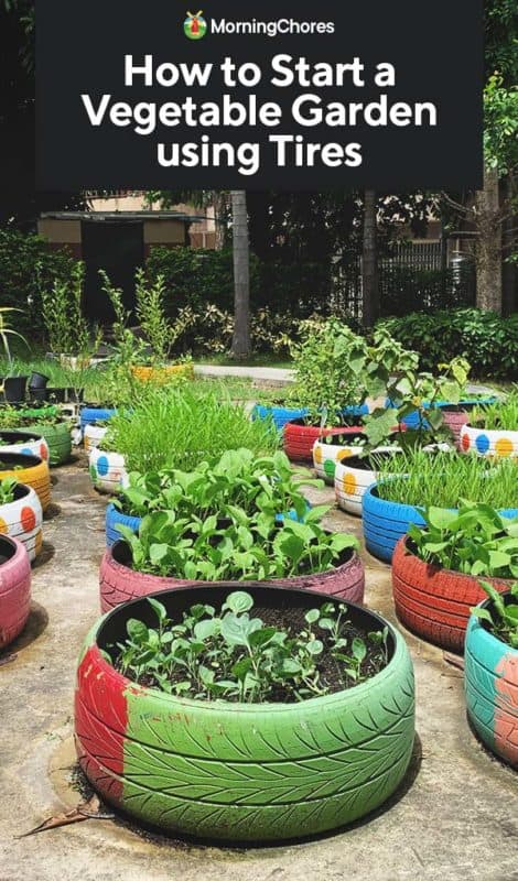 Vegetable Garden Using Old Tires, How To Start My Own Veggie Garden