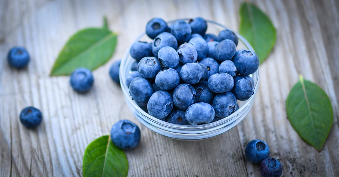 Growing Blueberries Best Varieties, Planting Guide, Care, Problems