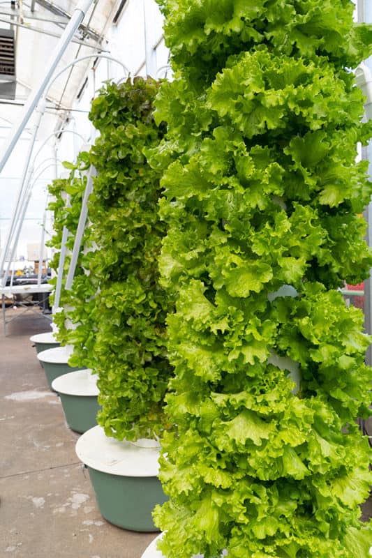 5 Clever Diy Tower Garden Ideas To Make The Most Of Your Space - Indoor Tower Garden Diy