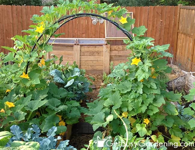 DIY garden arch