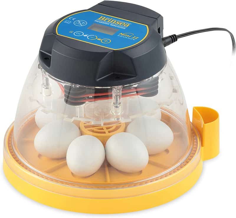 Brinsea Products Mini II Advance Automatic 7 Egg Incubator 
