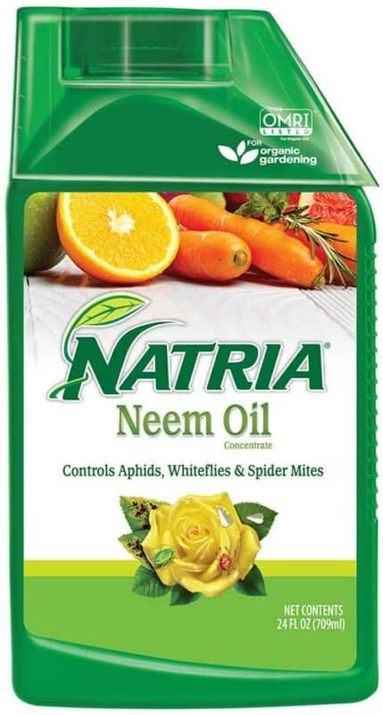 Natria 706240A Organic Plant Protection from Pests and Diseases Neem Oil Concentrate