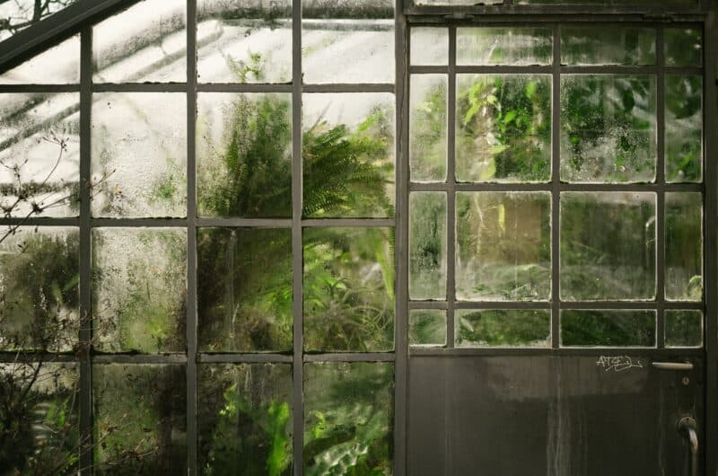 with closed windows, there could be high humidity in a greenhouse