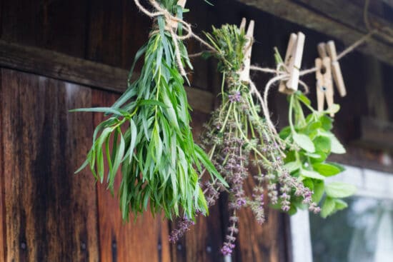 Best Herb Drying Methods for Every Level of Harvest