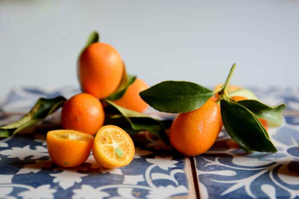 Growing Kumquats Best Varieties, Planting, Care, Problems and Harvest