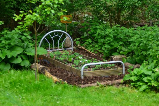 8 Common Raised Bed Gardening Mistakes and How to Avoid Them