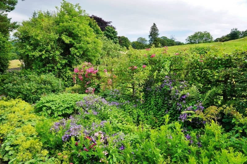 What Is Habitat Gardening and How To Build Your Own