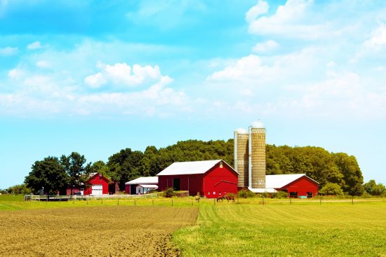 Farm Insurance: What Is It and Why (or When) Do You Need It?