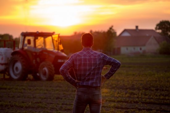 What to Consider When Getting a Tractor for Your Homestead