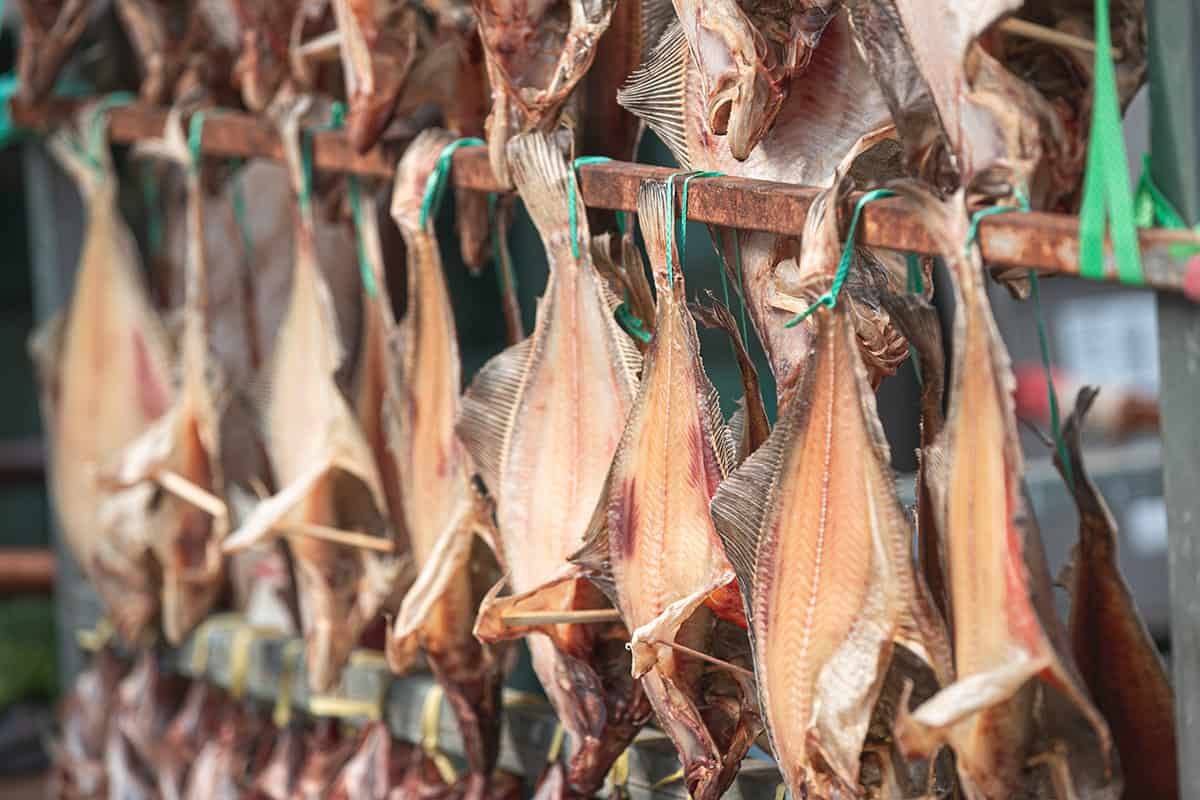 5 Simple Steps on How to Make Dry Fish in Nigeria | 2022