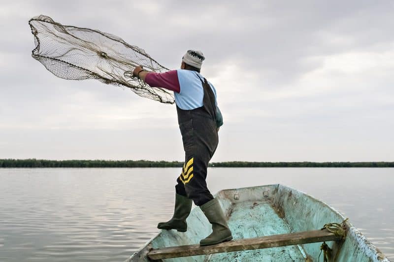 10 Best Fishing Nets - In-Fisherman
