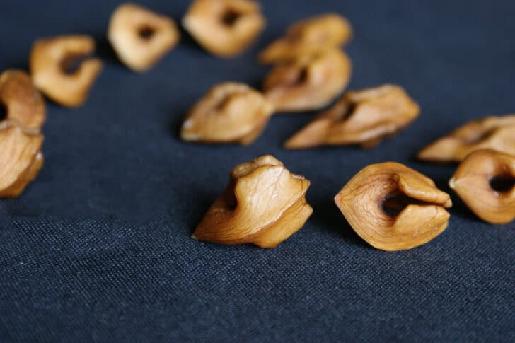 Growing Heartnut Trees: How to Plant and Raise Heartnuts