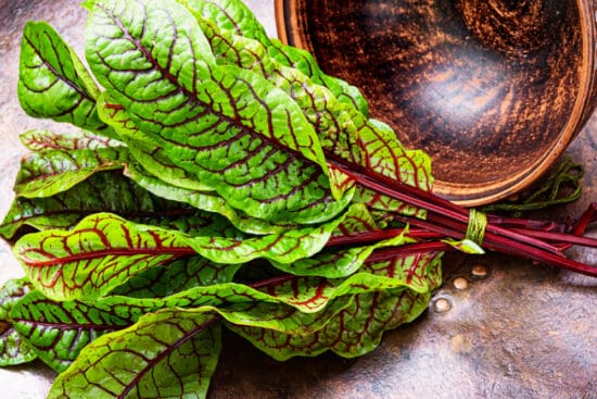 The Complete Guide to Planting and Growing Sorrel