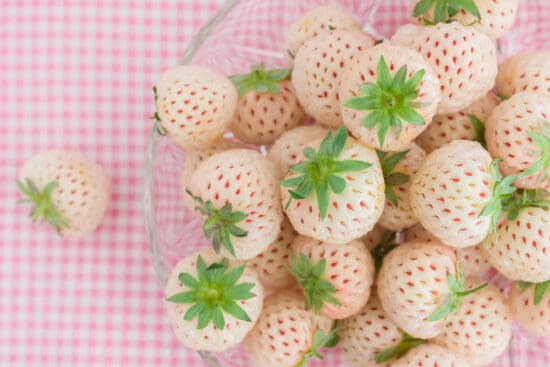 Growing Pineberries: How to Plant and Care for White Strawberries