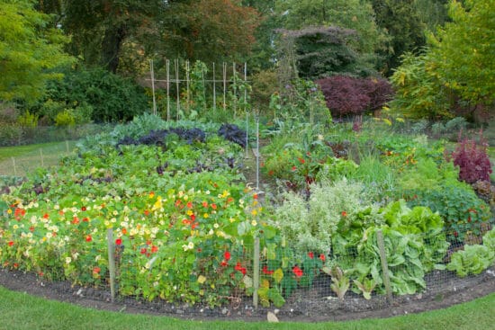How To Make a Circle Garden to Improve Productivity